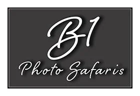 BiPhotoSafaris logo