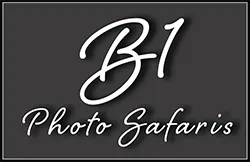 BiPhotoSafaris photo 1