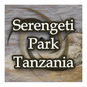 Serengeti National Park Safaris logo