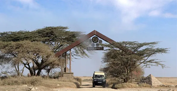Serengeti National Park Safaris photo 1