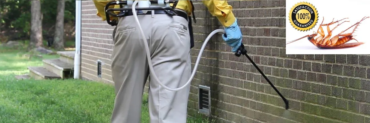 Pest Control Pros (Pty) Ltd photo 1