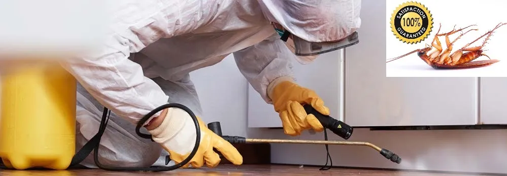 Pest Control Pros (Pty) Ltd photo 2