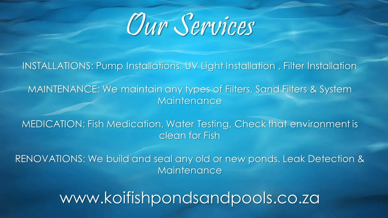 Koi Fish Ponds and Pools photo 2