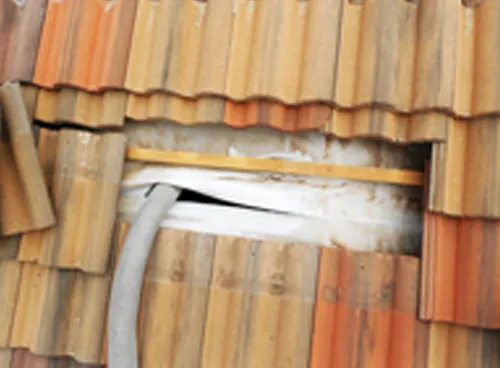 Thermguard photo 4