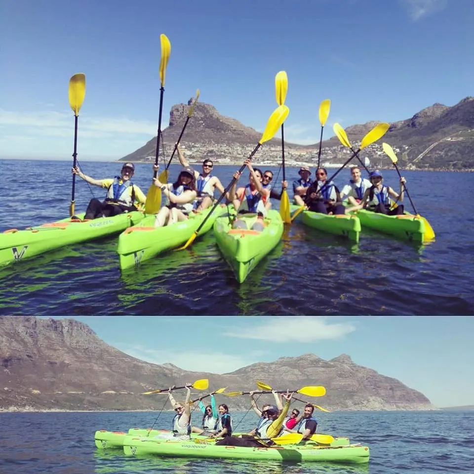 Snorkel With Seals photo 3