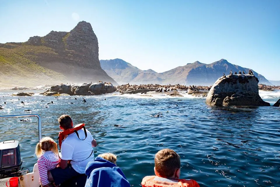 Snorkel With Seals photo 4