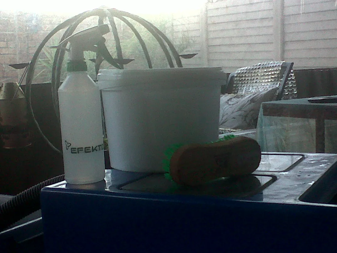 KINO Cleaning photo 1