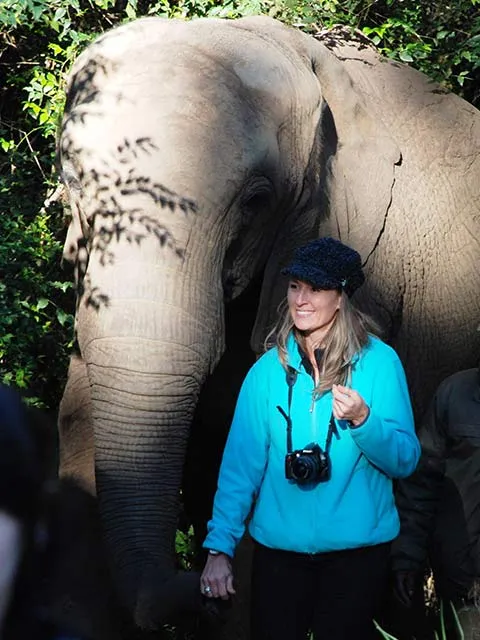Elephant Sanctuary in Hazyview photo 1