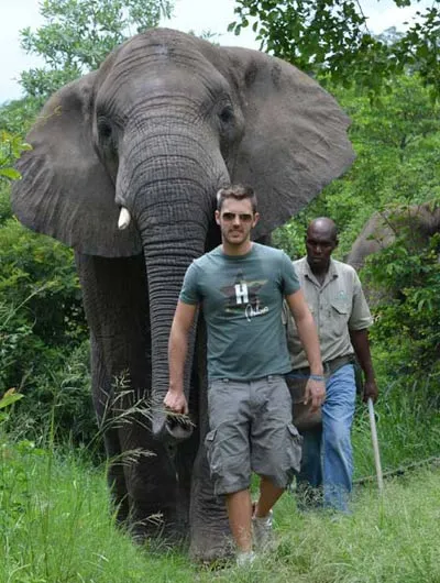 Elephant Sanctuary in Hazyview photo 4