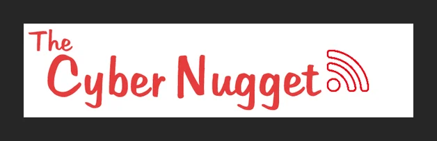 Cyber Nugget IT Services logo