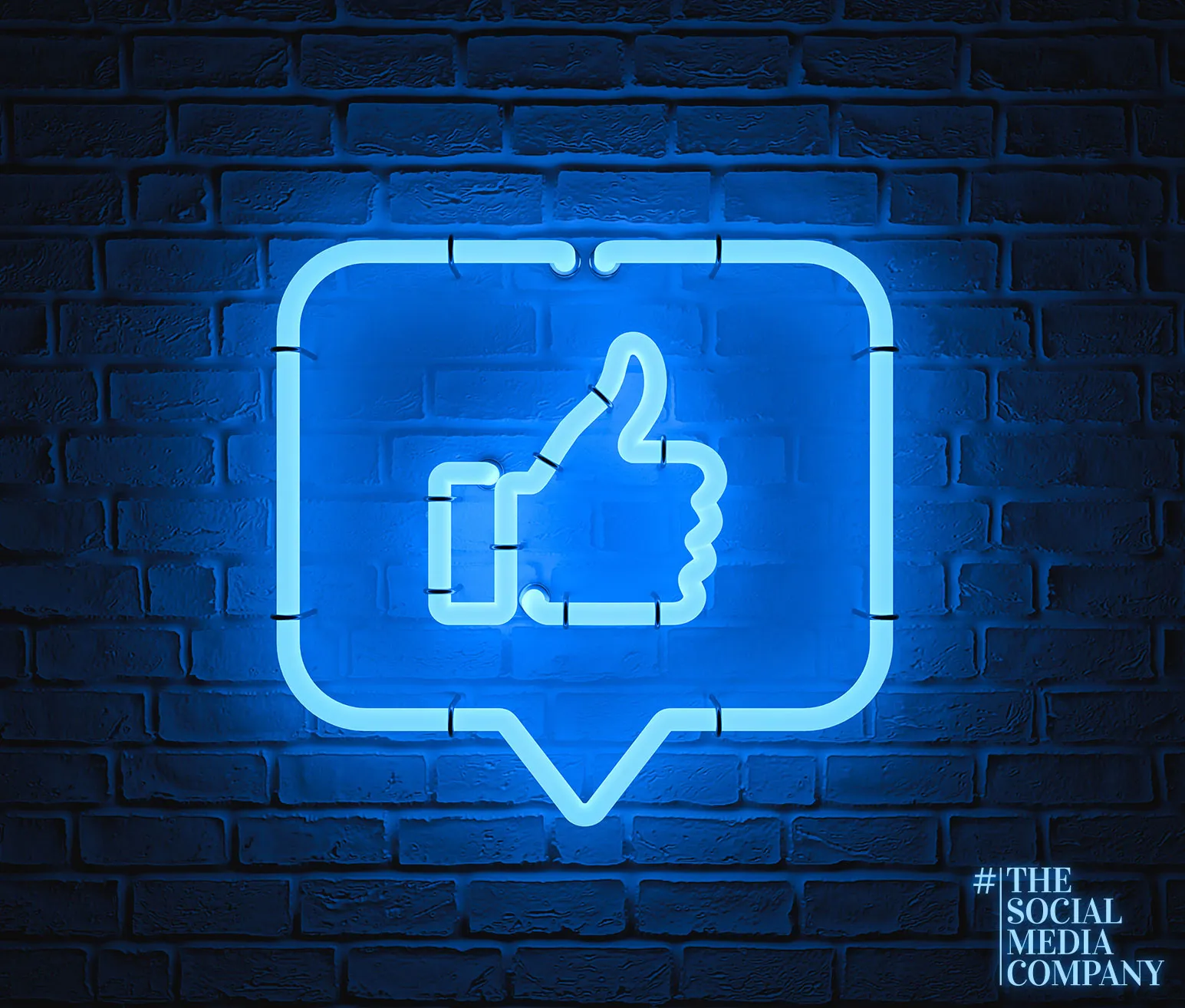The Social Media Company photo 3