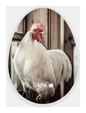 SA Poultry Association logo