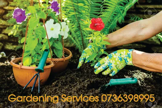Gardening Companies in Johannesburg ,SA photo 3