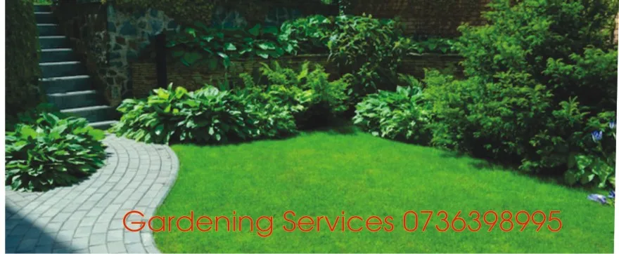 Gardening Companies in Johannesburg ,SA photo 4