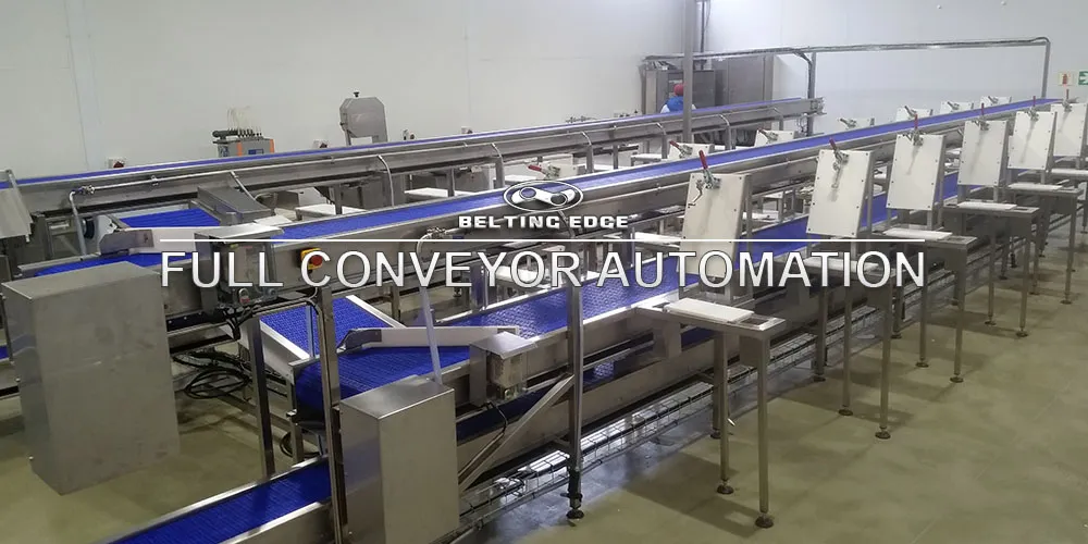 Belting Edge Conveyor Belts South Africa photo 2
