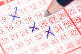 sa lotto photo 1