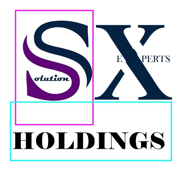 SOLUTION EXPERTS HOLDINGS logo