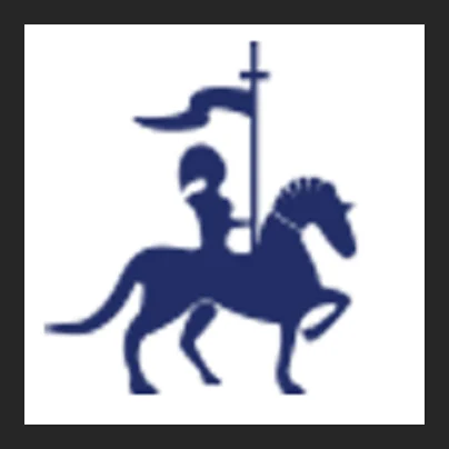 Black Knight Security logo