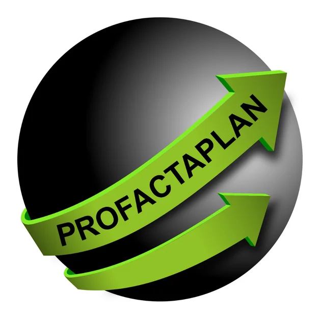 Professional and Proactive Planning Services logo