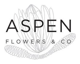 Aspen and Co logo