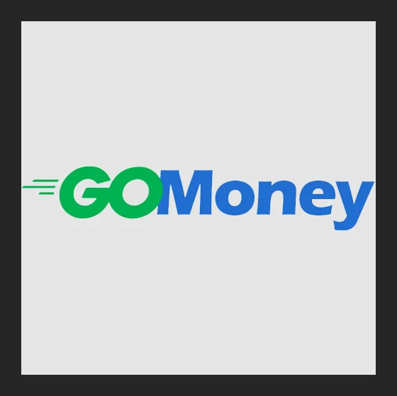 Go Money South AFrica logo