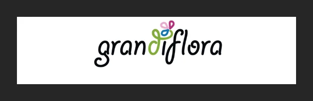 Grandiflora (Pty) Ltd - Decoration Shop logo