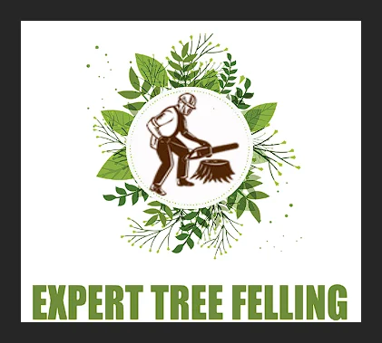 Expert Tree Felling logo
