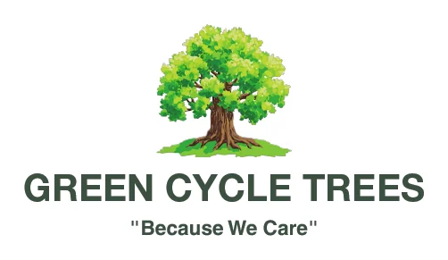 Green Cycle Trees logo