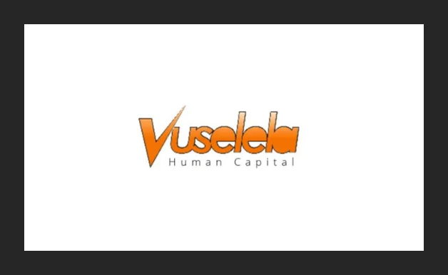 vuselela logo