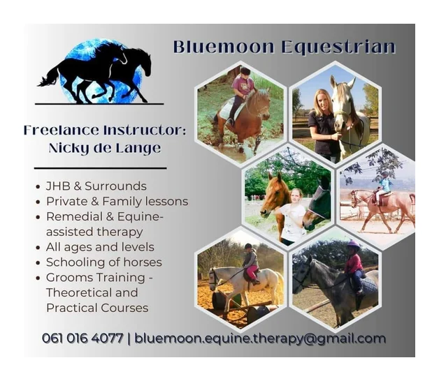 Bluemoon Equestrian logo