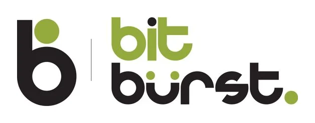 BitBurst IT logo