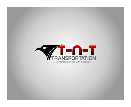 TNT TRUCKING logo