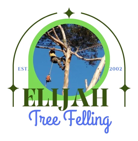 Elijah logo