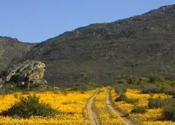 Calvinia Hotel photo 4