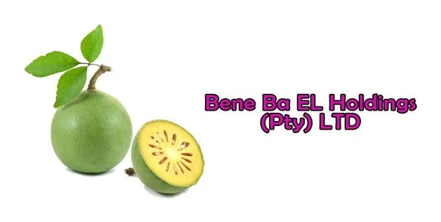 Bene Ba EL Holdings logo