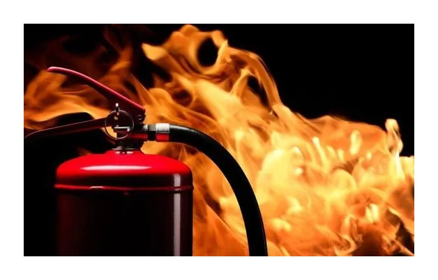Brady protection incendie SA Pty Ltd logo