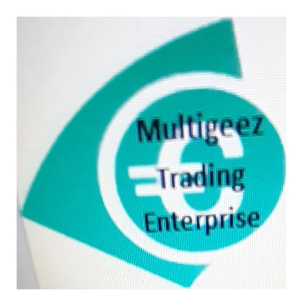 Multigeez Trading Enterprise logo