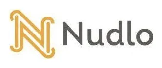 Nudlo Electronics Store logo