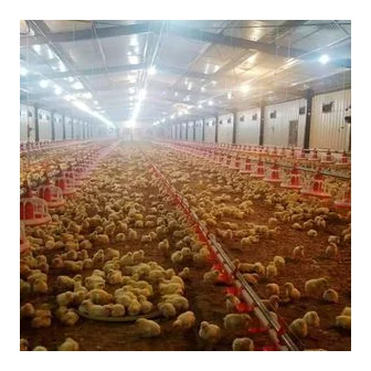Globalink Poultry Ltd Pty logo
