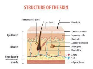 Jacobs and Comfort SkinMed, Dermatologist in logo