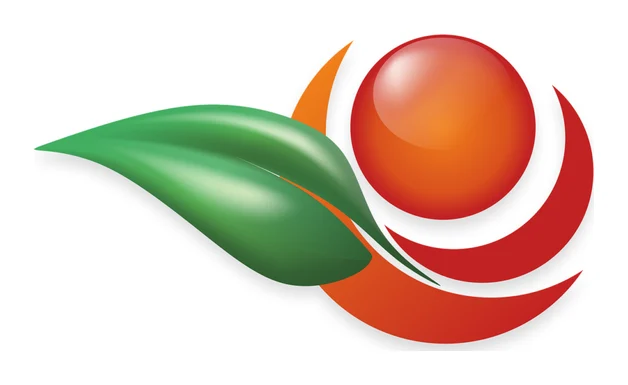 Davinci Design logo