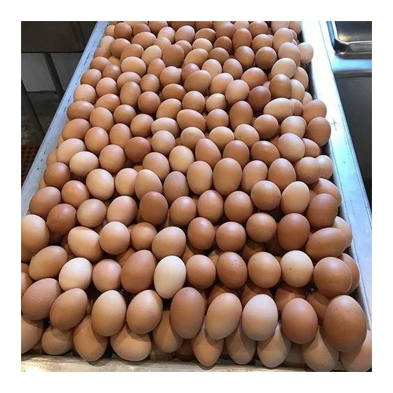 Chicken Eggs For Sale logo