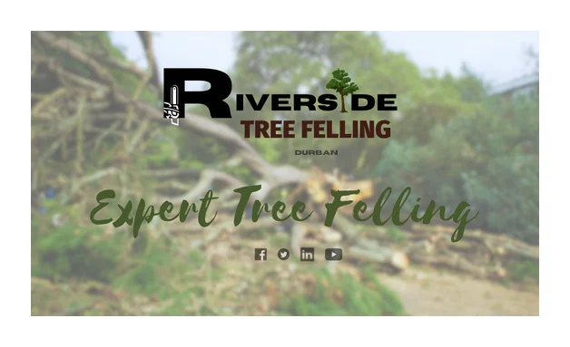 Riverside-Tree Felling logo