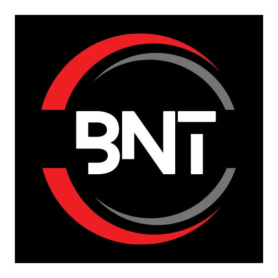 BNT ACCOUNTING AND TAXATION INC logo