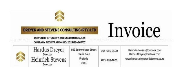 Dreyer and Stevens Consulting logo