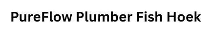 PureFlow Plumber Fish Hoek logo